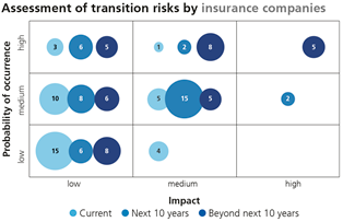 Assessment of transition risks by insurance companies